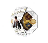 Harry Potter Quiz De Sorcier - Allemand