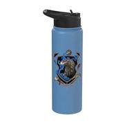 Harry Potter Ravenclaw Shield Realistic Eagle Stainless Steel Insulated Water Bottle