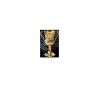 Objet décoratif Coupe Noble Collection Harry Potter Helga Hufflepuff Doré TU