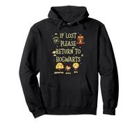 Harry Potter Return to Hogwarts Sweat à Capuche