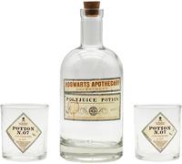 ABYstyle Set Bouteille et verres Harry Potter Potion – Lot de verres multicolore