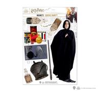 Harry Potter - Severus Rogue - Planche De 8 Magnets En Mousse