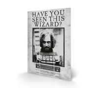 Harry Potter - Sirius Wanted - Impression Sur Bois 20x29.5