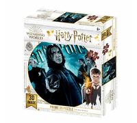 Harry Potter Slytherin puzzle lenticulaire 300 pièces