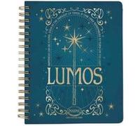 Harry Potter Spells and Potions 12Month Undated Planner by Insight Editions Insight Editions (Auteur)