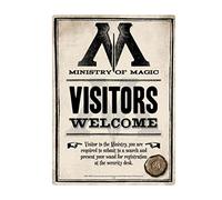 HARRY POTTER SSA5HP08 Plaque métallique, 1, Gris, Ministère de la Magie
