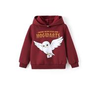 Harry Potter Sweat à Capuche Gryffondor Serdaigle Poufsouffle pour garçons et Filles