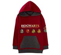 Harry Potter Sweat à Capuche pour Enfants Poudlard House Teams Crest Hooded Fleece Top Sweatshirt