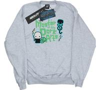 Harry Potter - Sweat-shirt garçon "Voldemort Dark Arts Junior" BI19356 (116) (Gris)