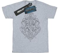 Harry Potter - T-shirt pour filles "Hogwarts Draco Dormiens" BI21033 (140-146) (Gris)