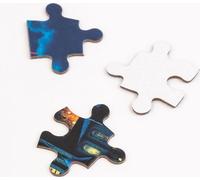 Grupo Erik - Puzzle 500 Pièces Harry Potter à L'École des Sorciers | Puzzle Adulte et Enfant, Affiche Harry Potter