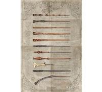 Harry Potter - The Wand Chooses The Wizard - 61x91,5 cm - AFFICHE / POSTER G