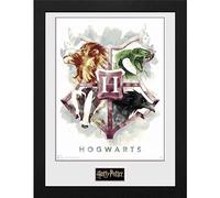 GB eye Harry potter - tirage encadré hogwarts aquarelle