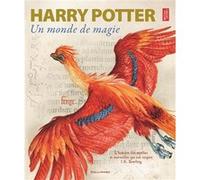 Harry Potter – Un monde de magie – Gallimard