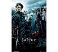 Harry Potter und der Feuerkelch Poster 91.5 x 61cm G
