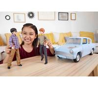 Harry Potter – L’Aventure en Voiture Volante de Harry et Ron