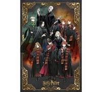 Pyramid International Affiche Harry Potter Wizard Dynasty Characters 61 x 91,5 cm