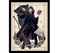 Harry Potter : Wizard Dynasty - Poster encadré, mots magiques PM8926 (40 cm x 30 cm) (Coloré)