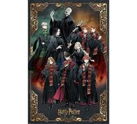Harry Potter - Wizard Dynasty poster, figures PM8353 (91.5 cm x 61 cm x 0.1 cm) (coloré)