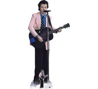 Harry Styles carton Pink Jacket carton