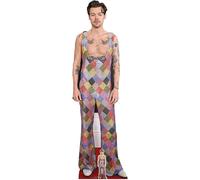 Harry Styles, mannequin en carton Dungarees