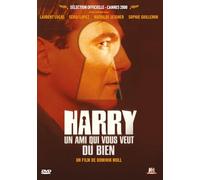 HARRY UN AMI QUI VOUS VEUT DU BIEN - DVD [HD DVD]