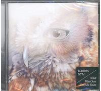 Harry's Gym - What Was Ours Can't Be. [Import]