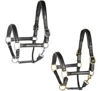 Harry's Horse 28500021-01cob Licol en Cuir Noir/Passepoil Taille M