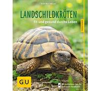 Hartmut Wilke Landschildkröten: Fit und gesund durchs Leben (Poche)