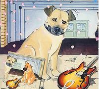 Haru Ichiban Live'79 [Import allemand]