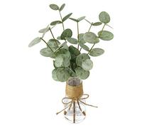 harupink Troncs d'eucalyptus artificiels dans un vase en verre - Eucalyptus artificiel décoratif dans un vase - Plante artificielle polyvalente avec feuilles d'eucalyptus vertes double face pour les