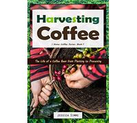 Harvesting Coffee: The Life of a Coffee Bean from Planting to Processing