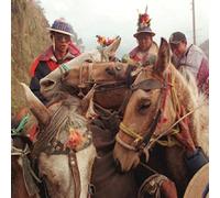 Harvey Girls - I've Been Watching a Lot of Horror Movies Lately