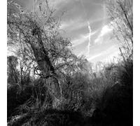 Harvey Milk - A Small Turn of Human [Import]