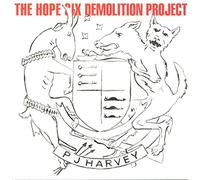 Pj Harvey - Hope Six Demolition Project