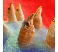 Harvey Rushmore & the Octopus - Freedomspacecake [Import]