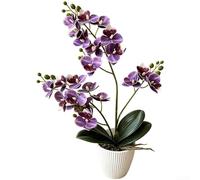 Hasaller Orchidée phalaenopsis artificielle en pot, 46 cm, 2 branches réalistes, 21 fleurs artificielles en soie dans un pot pour la maison, une fête de mariage, un centre de table, accessoires de