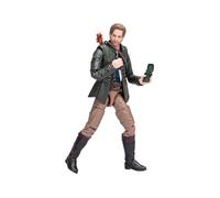 Hasbro - Dungeons & Dragons : L'Honneur des voleurs Golden Archive - Figurine Edgin 15 cm