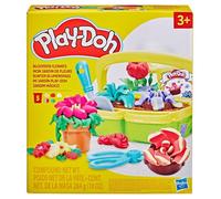 Hasbro HSBG04925L0 Play-Doh - La corbeille fleurie 3+