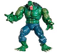 Hasbro Marvel Legends Series The Incredible Hulk Hulk 2099