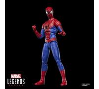Hasbro Marvel Legends Spider-Man : No Way Home Action Figure