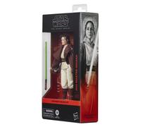 Hasbro - Figurine Star Wars : The Acolyte Black Series - Jedi Master Indara - 15 cm - Multicolore G