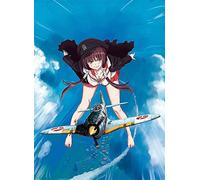 Hasegawa 064721 1/48 Shidenkai no Maki, Ki44II Type 2, Jeu