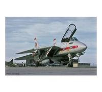 Hasegawa - Maquette avion : F-14A VF-1 Wolfpack G