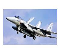 Hasegawa - Maquette avion : F-15J Eagle MISP G