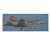 Hasegawa - Maquette avion : F/A-18C Hornet VFA-192 Golden Dragons 2007 G
