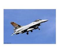 Hasegawa - Maquettes avions : F-16AM/BM N AF Combo G