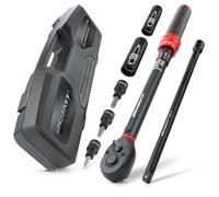 HASKYY Clé dynamométrique magnétique 3/8" 10-60 Nm 14-16 mm avec embouts Torx T20 T30 T40 avec adaptateur d'extension pour voiture, industrie, moto, voiture