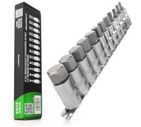 HASKYY Jeu de douilles à six pans creux 1/2" 12 pièces 5-22 mm Douilles hexagonales Jeu de clés sur rail pour vis Allen