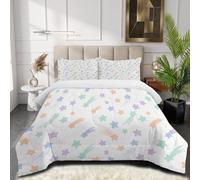 HASLEFND Couette 220 x 240 cm 4 Saisons Ciel étoilé de rêve Couettes 2 Personnes| Couette Imprimée avec Motif de Étoile filante Couettes sans Housse en Lavable en Machine et 2 Taie d'oreiller